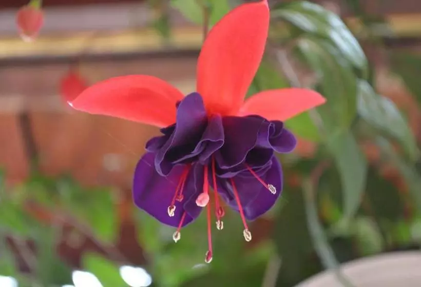 Majatalo Cristalex Villaverde Bucharest