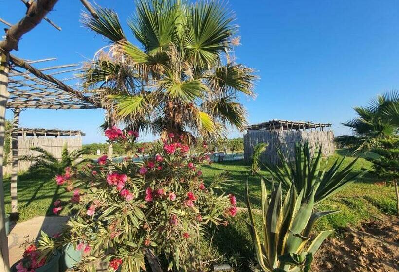 بنسيون Diar Maamoura Daroufa