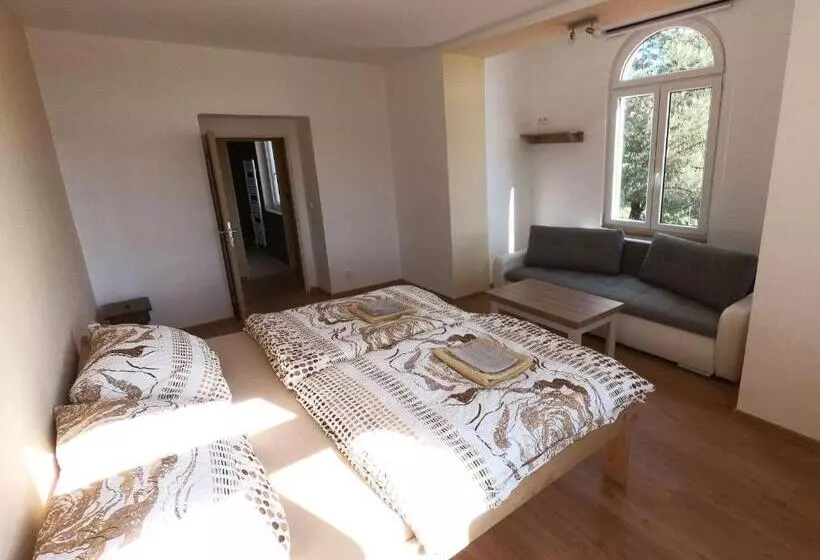 ペンション Penzion Bejby Turnov