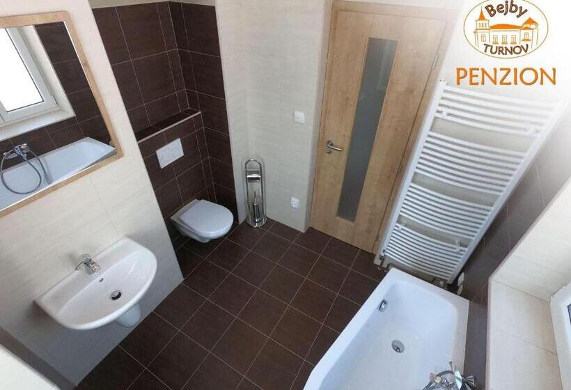 Pension Penzion Bejby Turnov