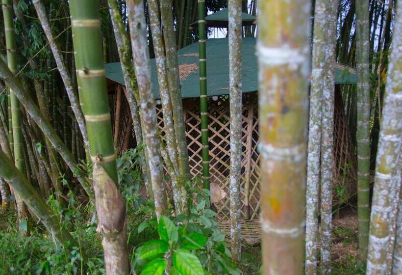 Resort Riverside Ecoliving Space