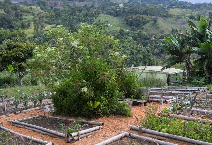 Resort Riverside Ecoliving Space