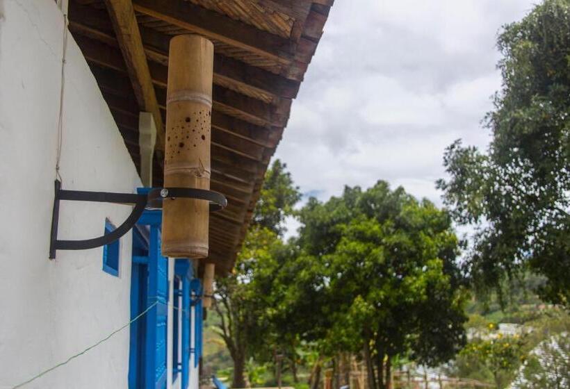 Resort Riverside Ecoliving Space