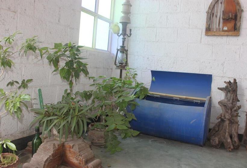 ホテル Adams Wood House Ayurveda Homestay Kochi