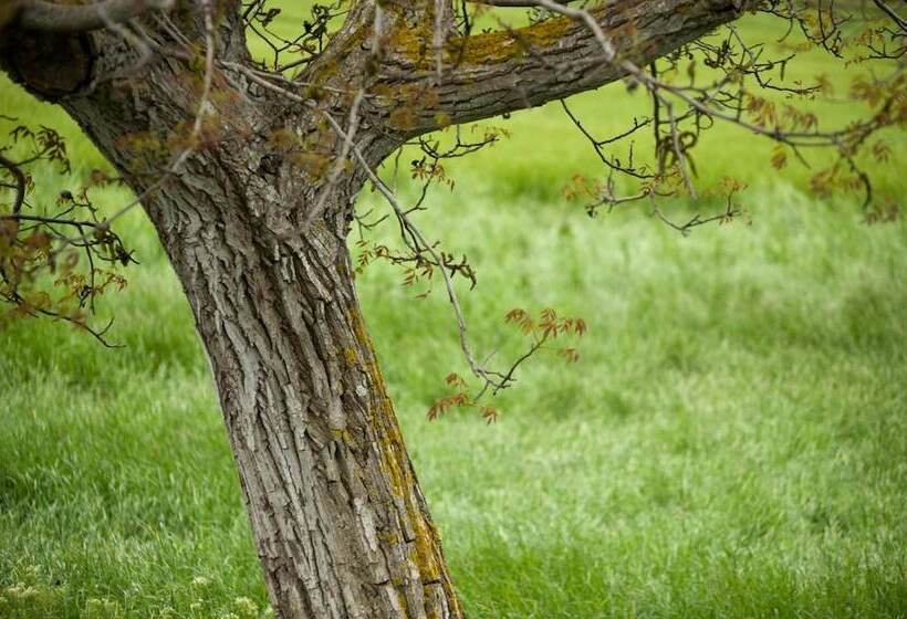 Le Alcove   Luxury Hotel Nei Trulli