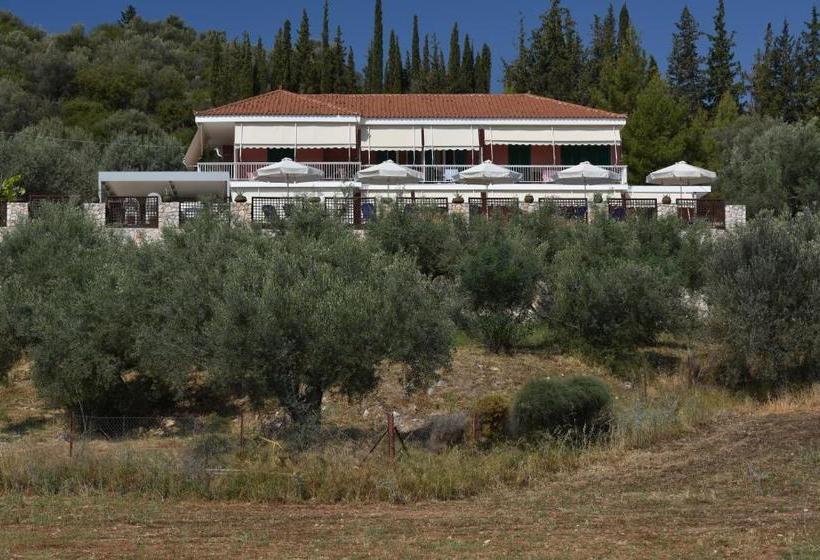 Отель Lilly Villa