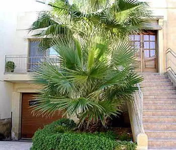 هتل روستایی Villa Dar Ta Jeffrey