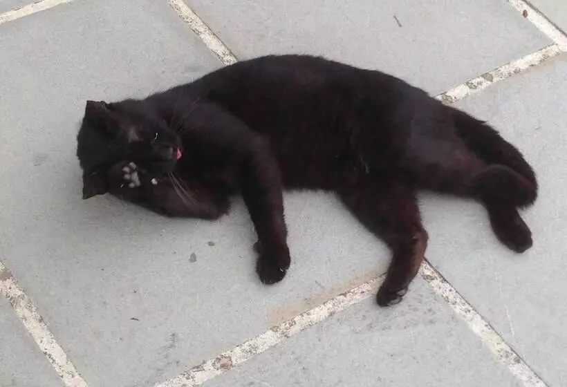 Residenza D'epoca Il Biribino