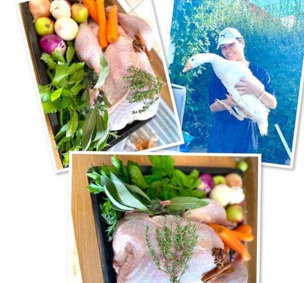 فندق صغير Gasthaus Dernedde