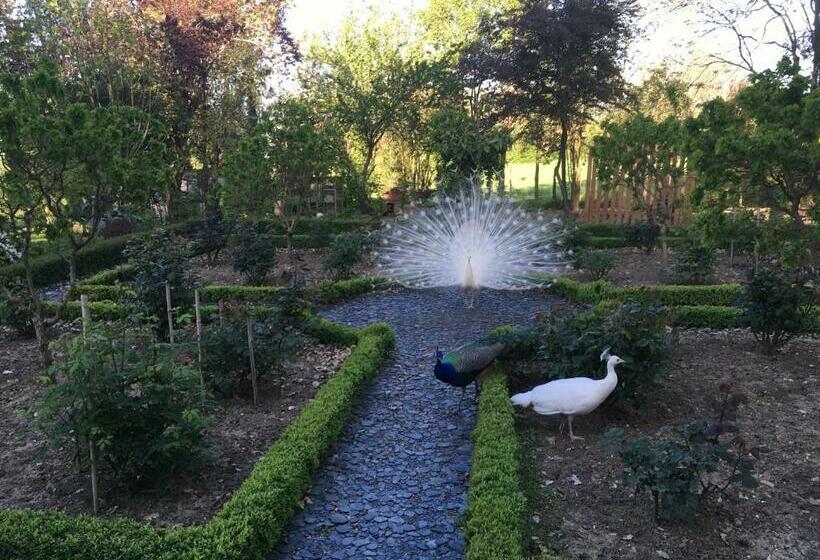 Bed and Breakfast Chateau Mathias