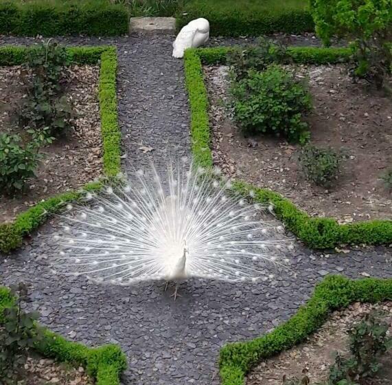 Bed and Breakfast Chateau Mathias