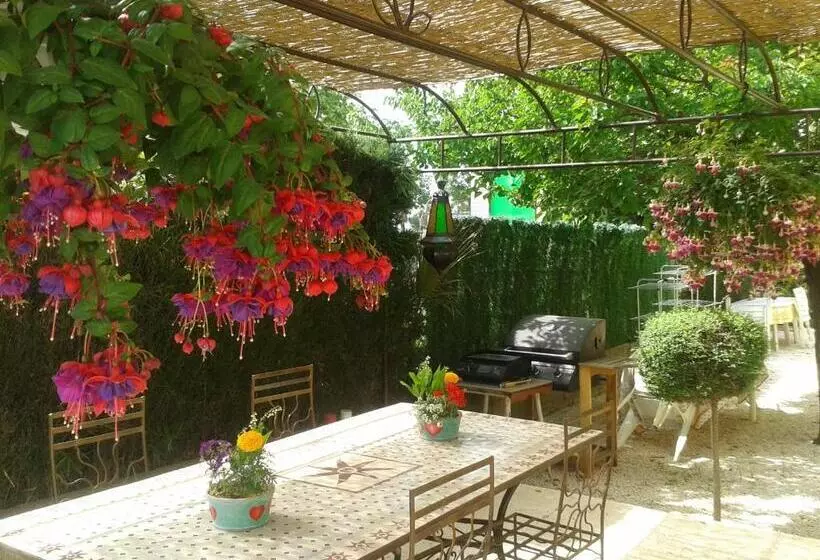تختخواب و صبحانه Gîte Aux Amandiers