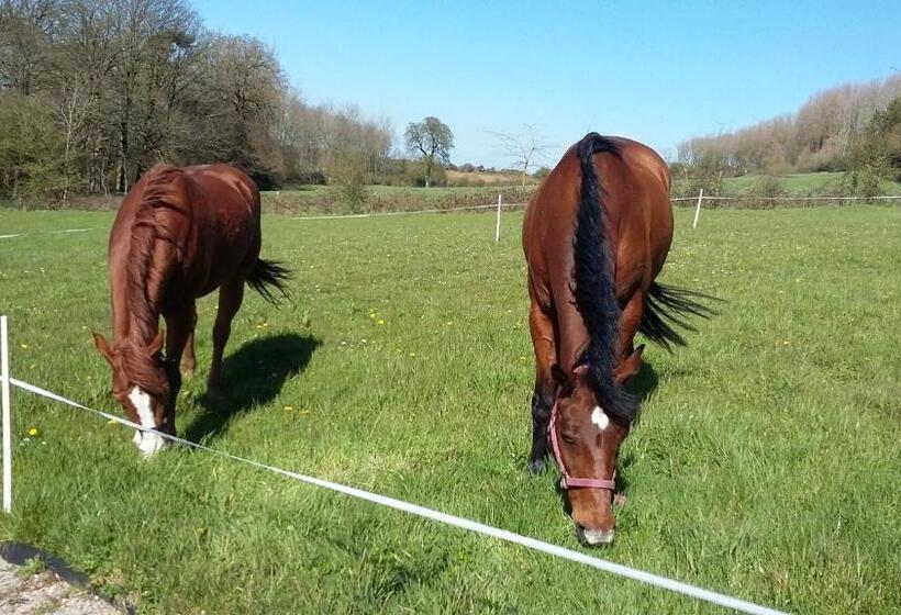 Bed and Breakfast Les Hauts De La Cluse