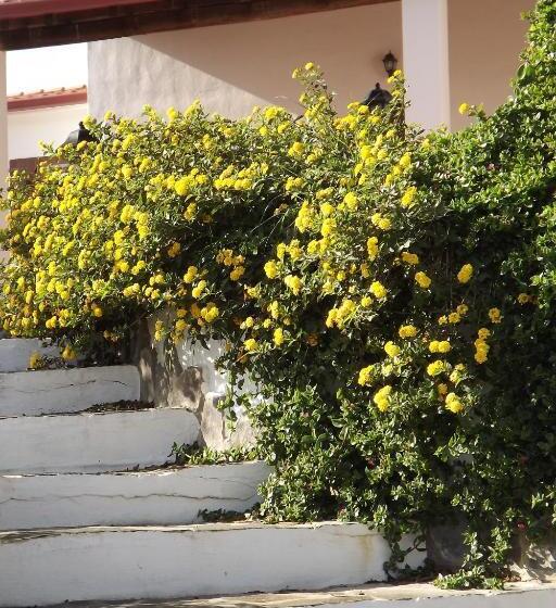 ベッドアンドブレックファースト Sa Ruscitta