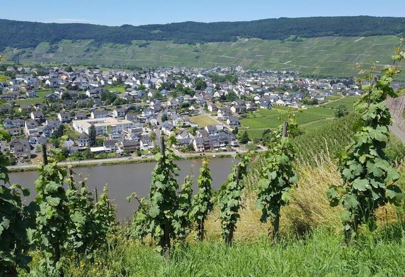 ホテル Alt Reinsport