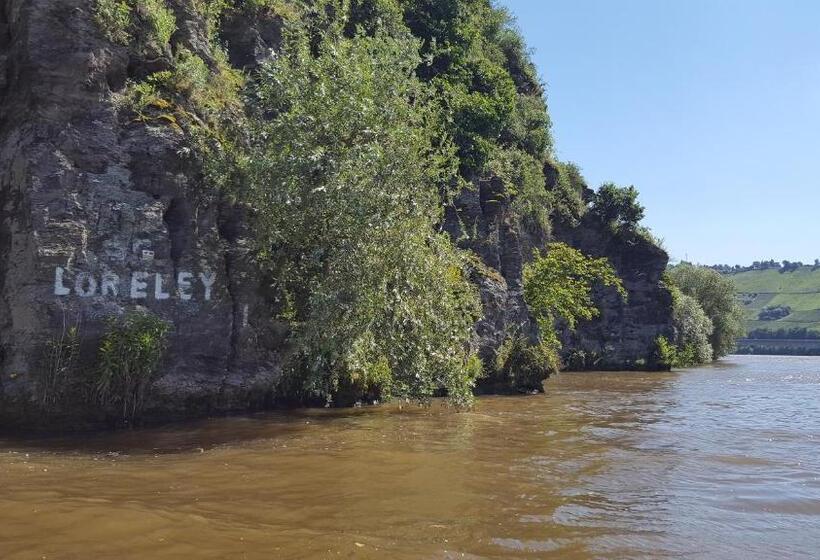 ホテル Alt Reinsport