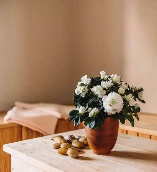 پانسیون Kevade Guesthouse With Sauna