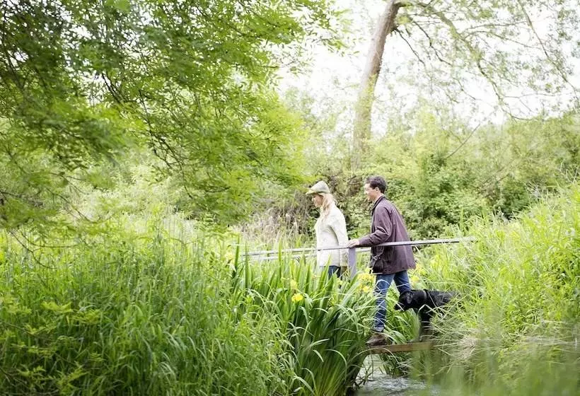 مسافرخانه Old Swan