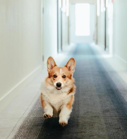 Residence Inn Ghent By Marriott