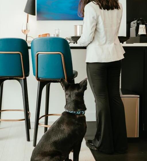 Residence Inn Ghent By Marriott