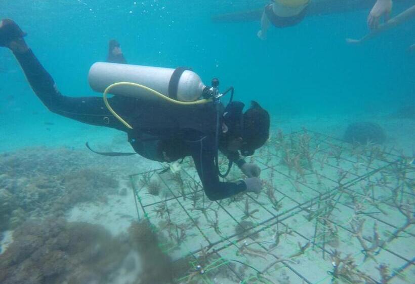 Panzió Gili Lampu Guest House