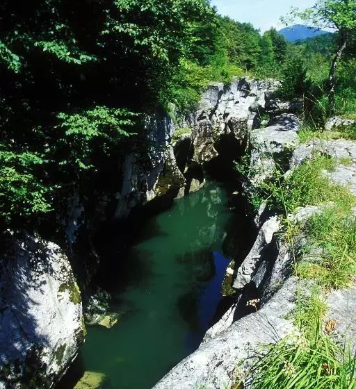 Отель Les Afforets