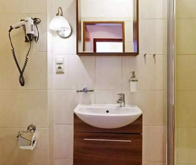 פנסיון Penzion Dvořákova