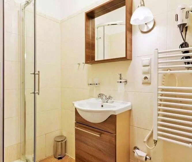 פנסיון Penzion Dvořákova