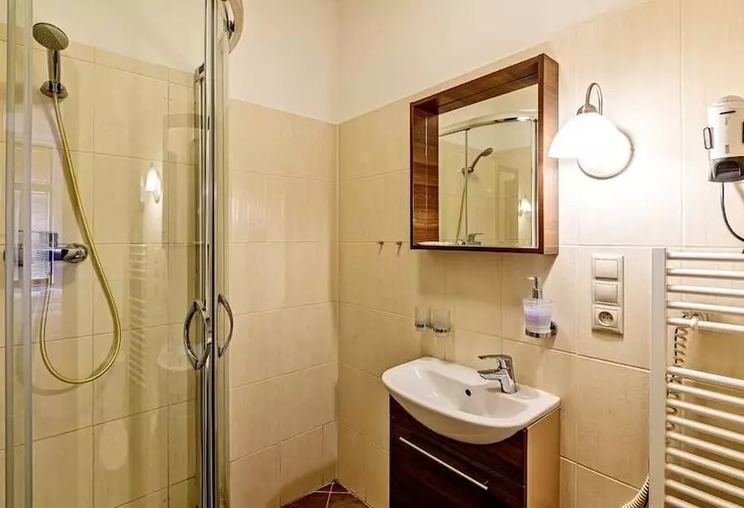 פנסיון Penzion Dvořákova