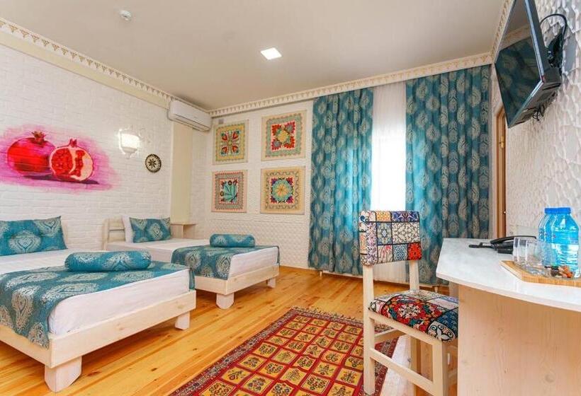 בית מלון כפרי Anor