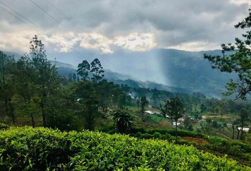 Pensión Riverside Guest House And Travels