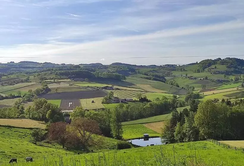 Appartement Jarnioux   Les Meublés Des Pierres Dorées