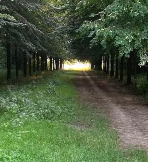 Aamiaismajoitus (B&B) Rue Haute By M&m 4 Sterren Bed En Breakfast Vlakbij Maastricht