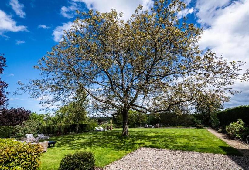 민박 Rue Haute By M&m 4 Sterren Bed En Breakfast Vlakbij Maastricht