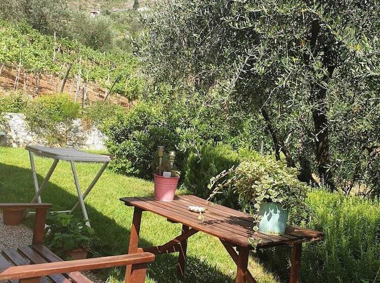 Agriturismo La Collina Verde