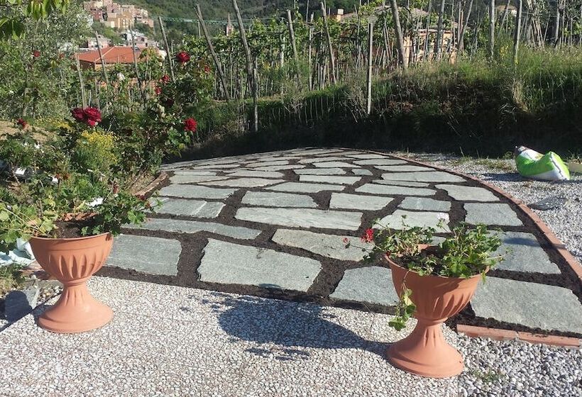 Agriturismo La Collina Verde