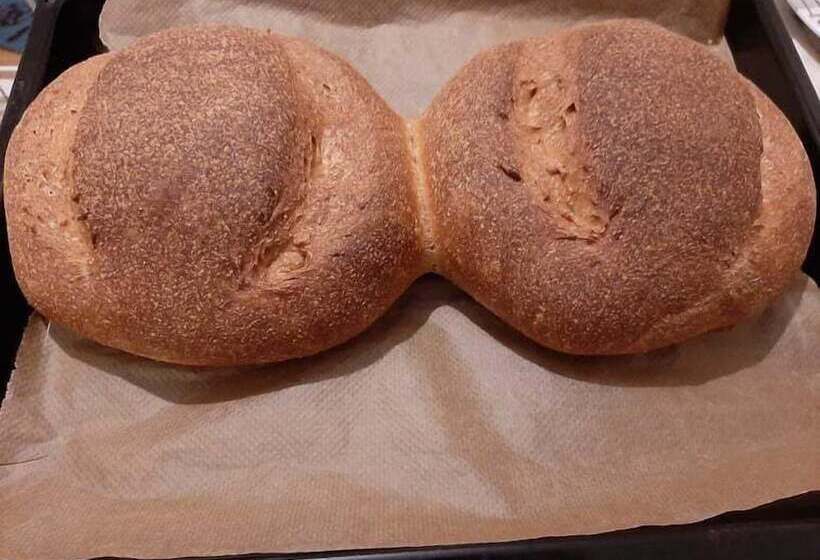 Agriturismo La Collina Verde