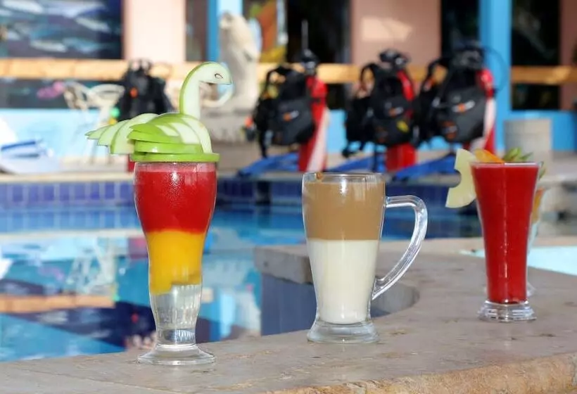 هتل Aqaba Adventure Divers Village