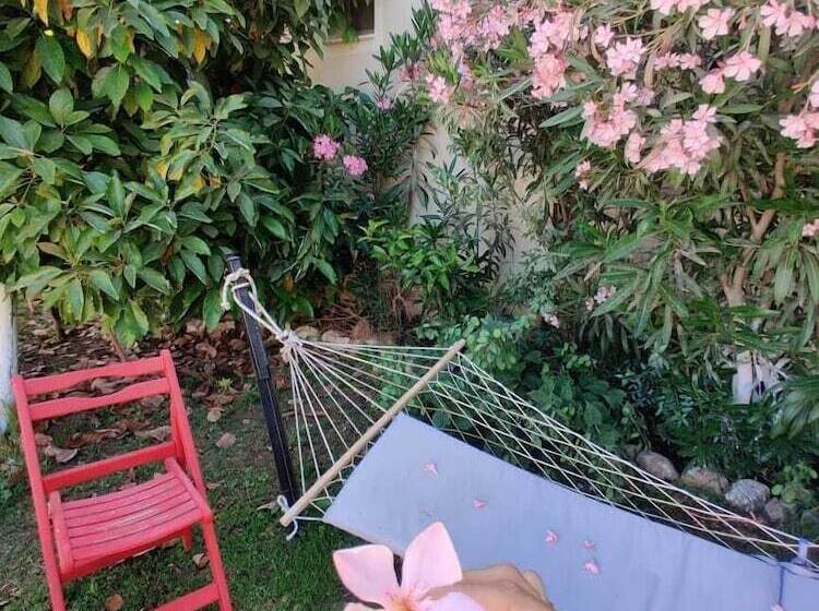 Отель Cc S Butik