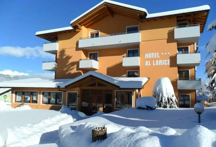 Отель & Appartamenti Al Larice