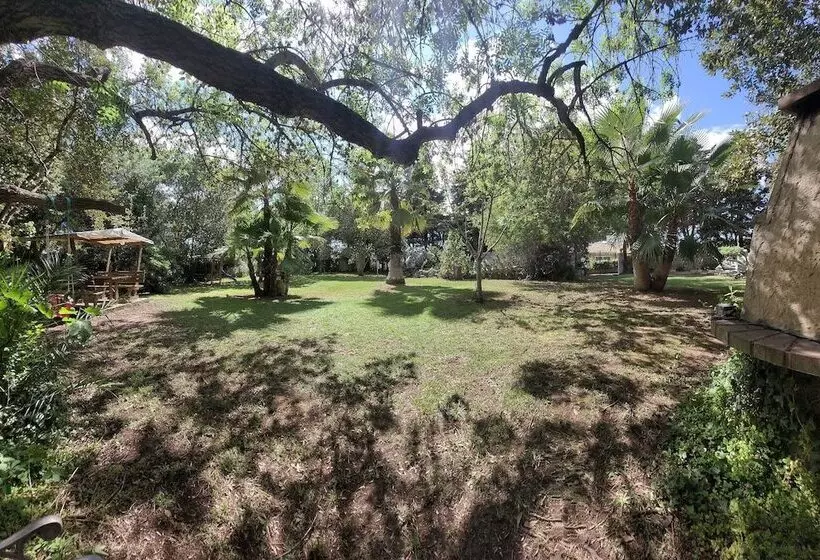 هتل Hôtel Du Patriarche