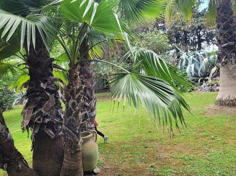 호텔 Hôtel Du Patriarche