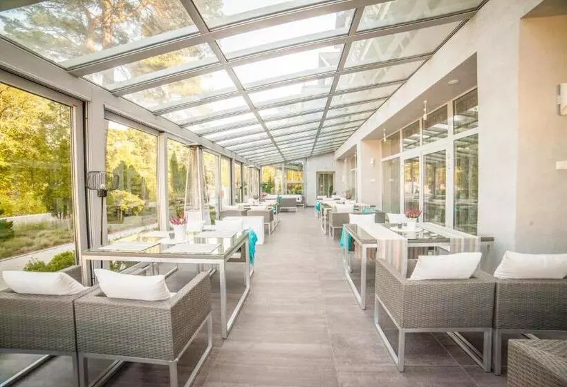 Отель Jantar Wellness & Spa