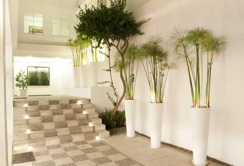 酒店 Tierra Viva Arequipa Plaza