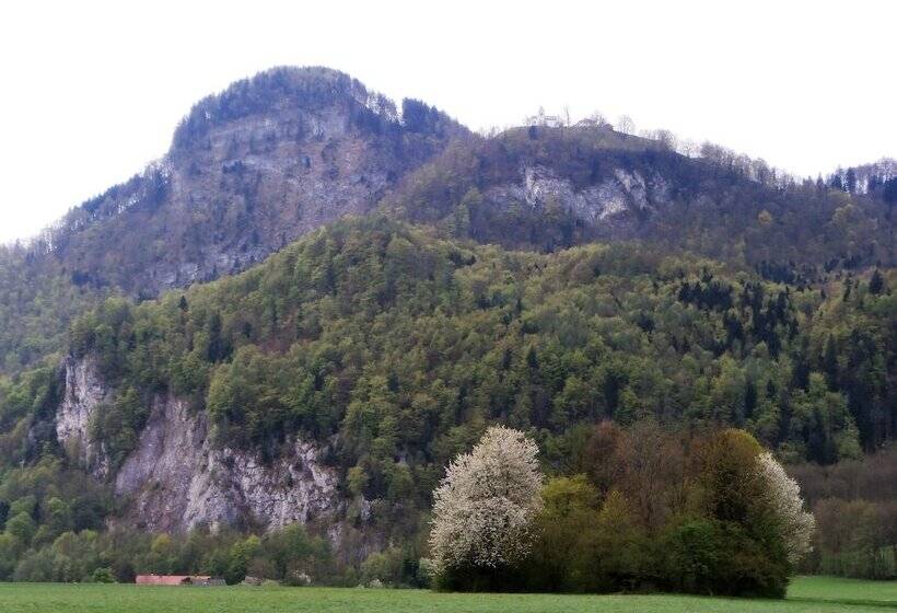 Pensão Gasthof Falkenstein   Metzgerei Schwaiger