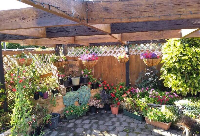 Carters Beach Bed And Breakfast