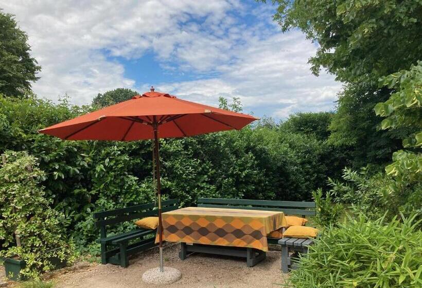 פנסיון La Casa Gialla