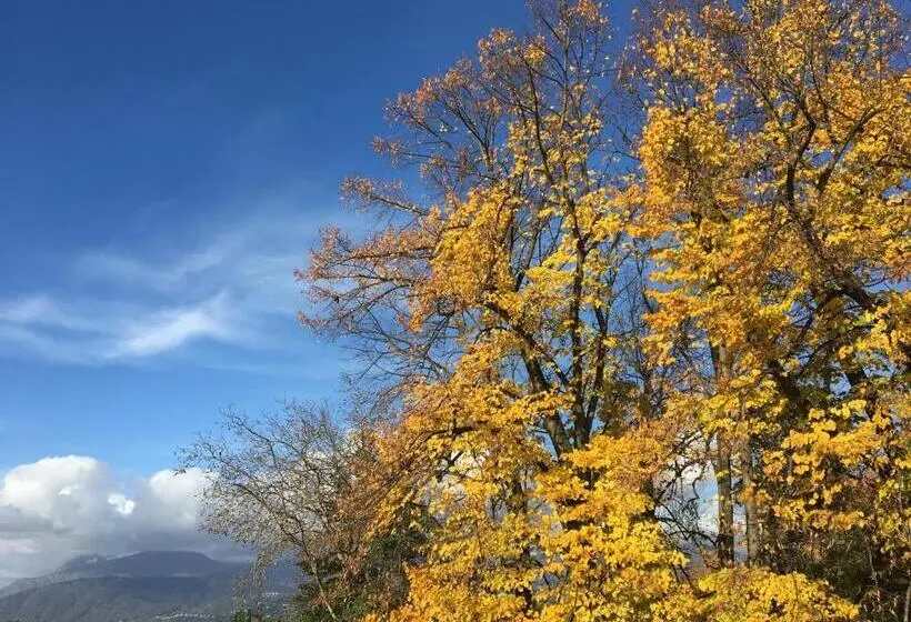 Majatalo La Casa Gialla