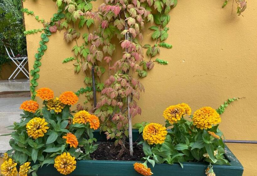 פנסיון La Casa Gialla