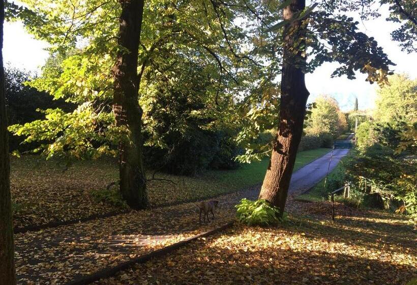 פנסיון La Casa Gialla